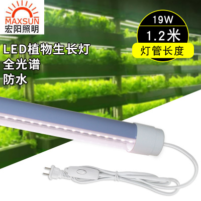 1.2米19W全光谱灯管LED多肉补光灯种植水培蔬菜育苗食虫草仿太阳植物生长灯