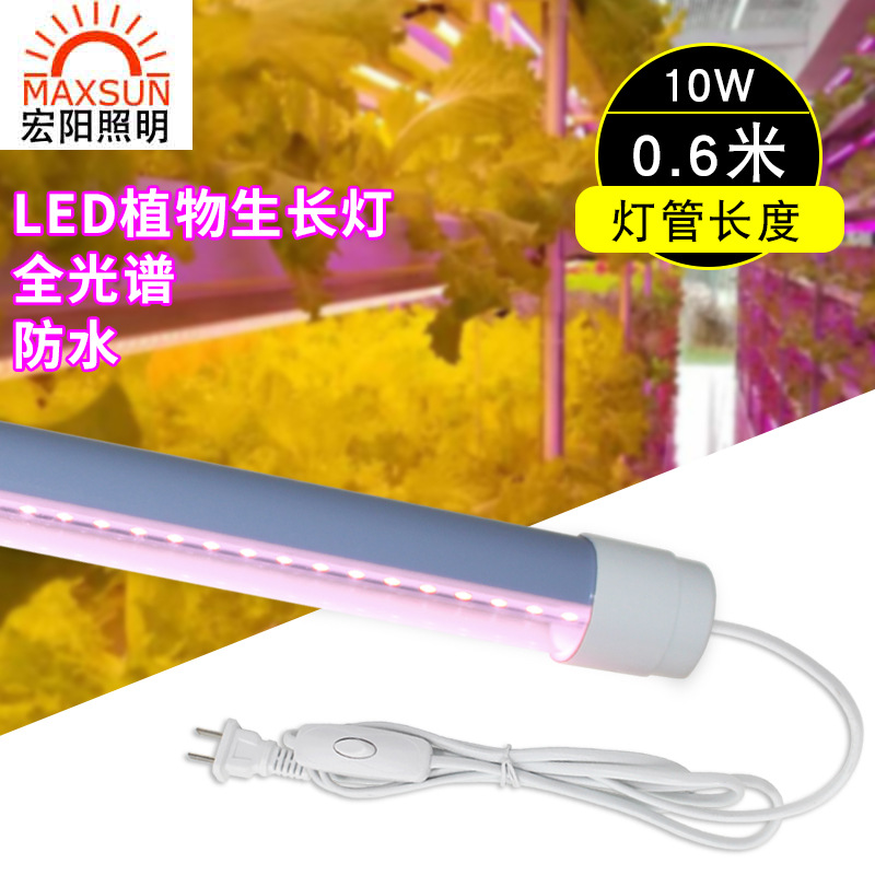 0.6米10W全光谱灯管LED多肉补光灯种植水培蔬菜育苗食虫草仿太阳植物生长灯