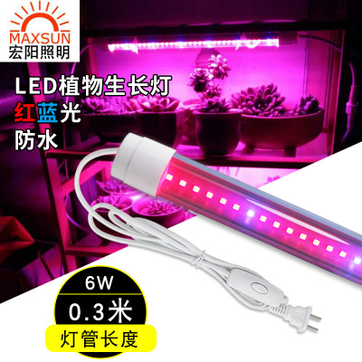 0.3米6WLED植物生长灯管补光灯红蓝光温室组培灯多肉花卉防水植物生长灯管批
