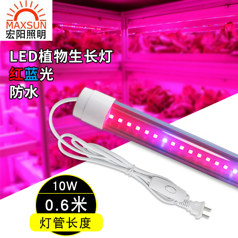 0.6米10W红蓝光生长灯管厂家批发led植物补光灯植物生长灯多肉上色灯温室蔬