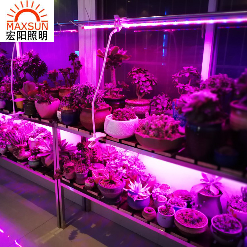 0.3米10WLED植物补光灯深圳生长植物灯厂家红蓝光组培灯多肉上色防水植物生