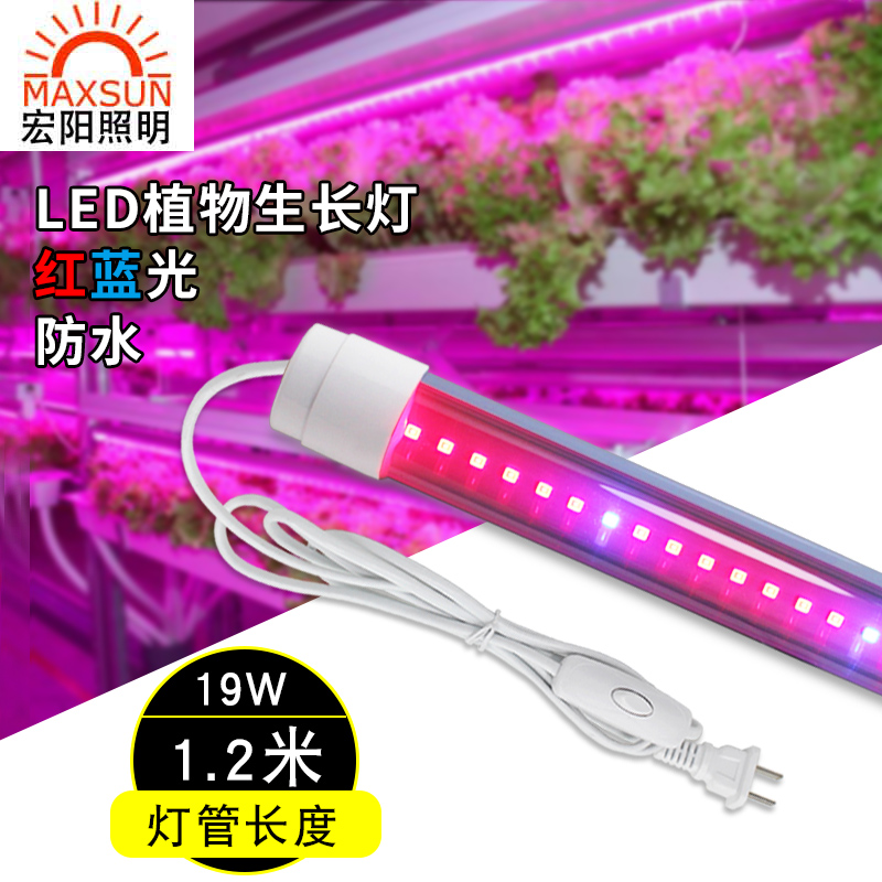 1.2米19W植物灯厂家批发LED植物生长灯红蓝光温室组培灯多肉上色植物灯管防