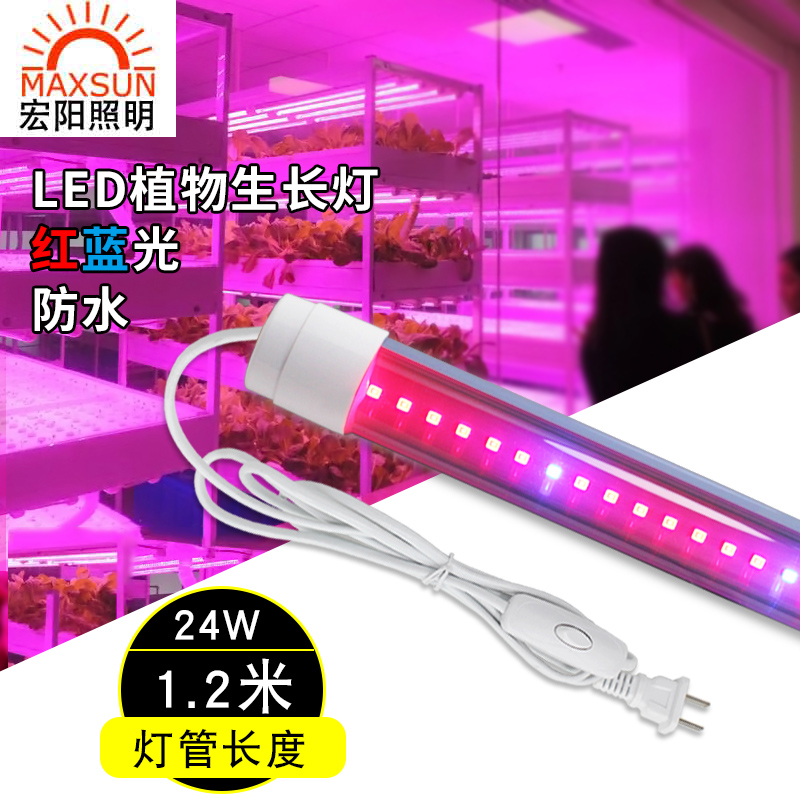 1.2米24WLED植物生长灯红蓝光温室组培灯多肉上色防水植物灯管厂家批发LE