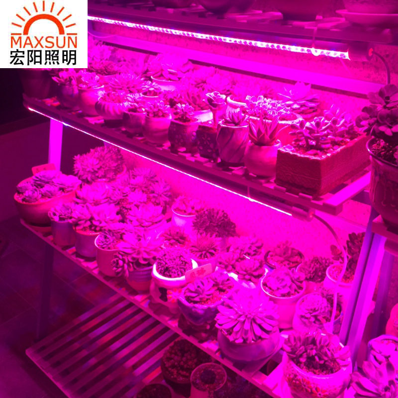 0.9米24WLED防水灯管深圳厂家批发LED植物生长灯多肉红蓝光合作用温室蔬