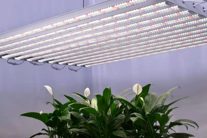 600W八爪鱼植物生长灯 西红柿补光灯 火龙果补光灯 LED植物生长灯