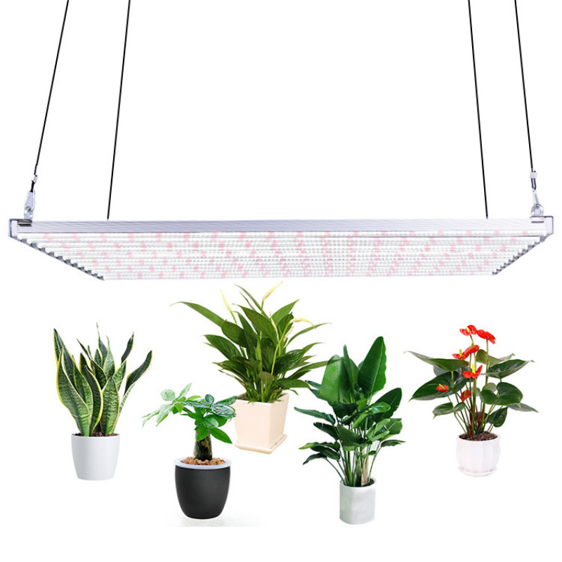 LED植物灯厂家批发300W八爪鱼植物生长灯 火龙果补光灯 西红柿全光谱补光灯